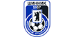 Шинник